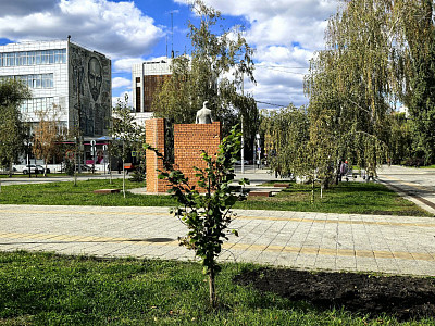 В Саратовской области прогнозируют дождь с грозой и 29 градусов тепла 